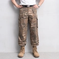 Old a (Drought Insect Camouflage Trousers)
