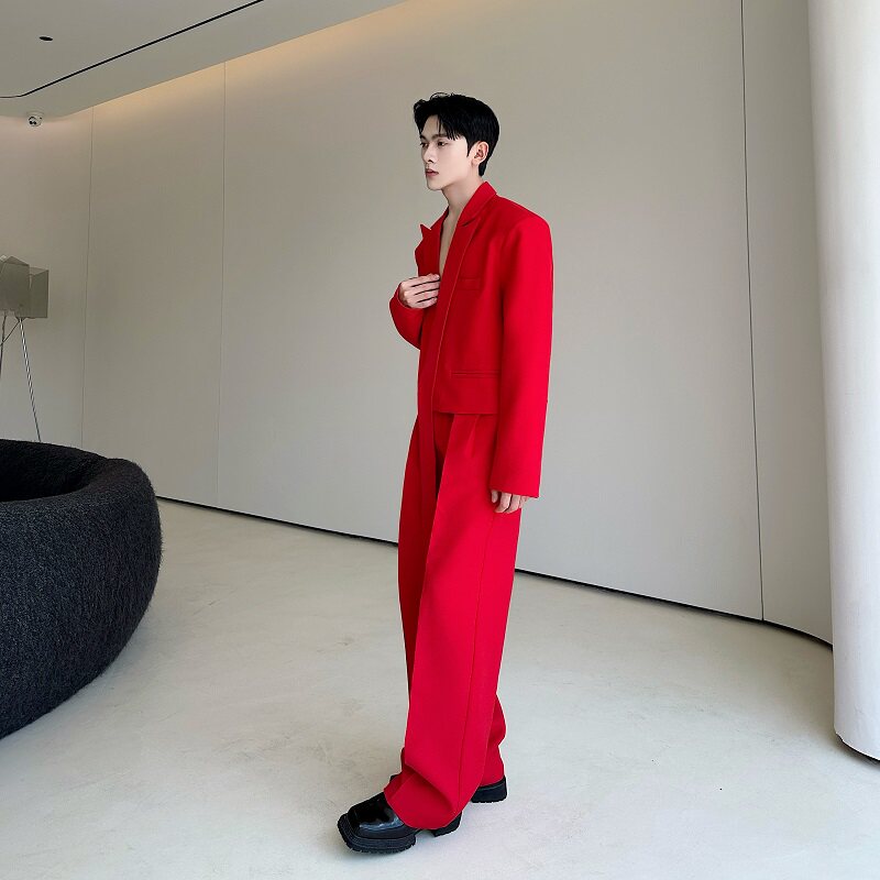秋季潮流新款套装简约短款飘带西服直筒长裤两件套231P235,男装西服套装,星座901-1（原C217）
