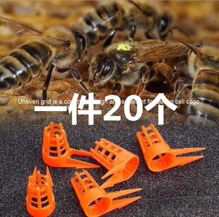 育王台基 王台防护罩 王台防咬保护罩 蜂王保护罩 王笼王台罩蜂具