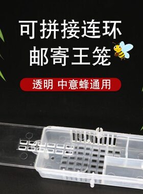 邮寄王笼塑料蜂王笼大体积