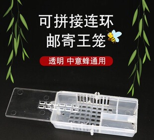 养蜂工具邮寄王笼囚王笼塑料蜂王笼大体积多功能王笼蜂王专用笼