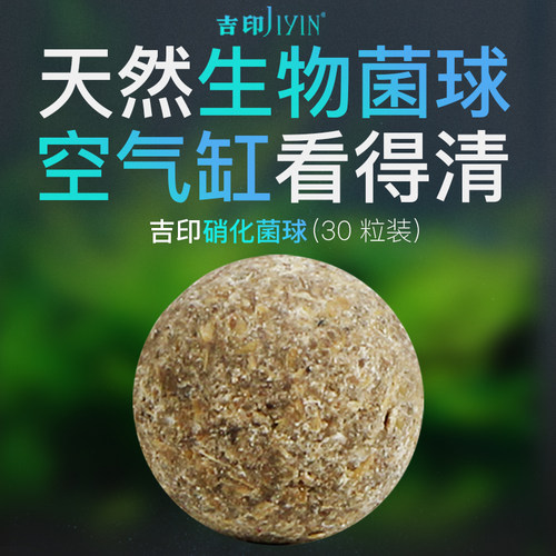硝化细菌球快速培菌活化底床净水