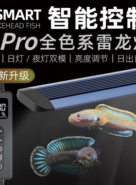 吉印i7pro雷龙鱼专用灯专业定时调光灯led防水日出日落潜水雷龙灯