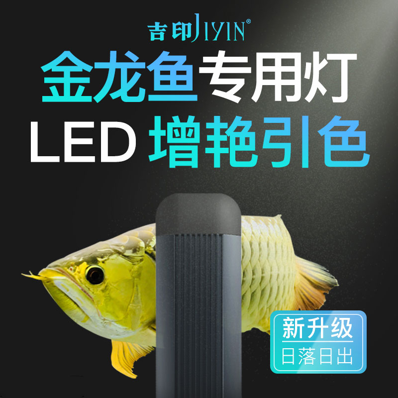 吉印龙鱼专用灯龙鱼灯专业龙鱼缸灯金龙鱼灯led灯增色防水发色灯|msdalam kategori haiwan peliharaan/makanan haiwan dan bekalan, Aquarium World, tangki ikan akuarium dan kelengkapan lain, peralatan lampu - dari Buy2taobao.com untuk memberikan perkhidmatan ejen Taobao profesional membeli