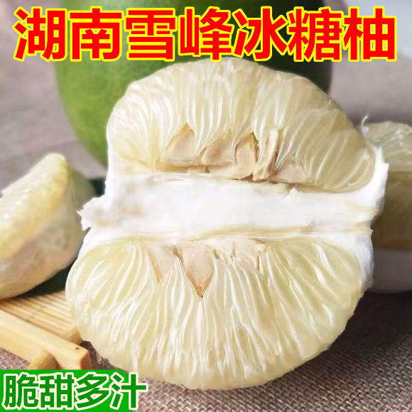 湖南怀化脆甜雪峰柚当季老树高山药柚子安江新鲜水果小苦柚冰糖柚