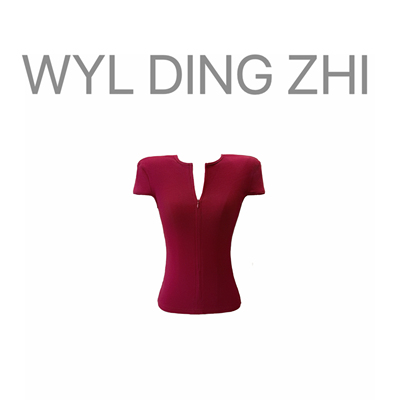 BinGBinglin大雯子复古港风短袖T恤女辣妹半拉链小众修身显瘦上衣