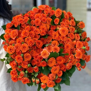 橙色芭比多头玫瑰泡泡云南昆明基地直发同城速递鲜花束玫瑰情人节