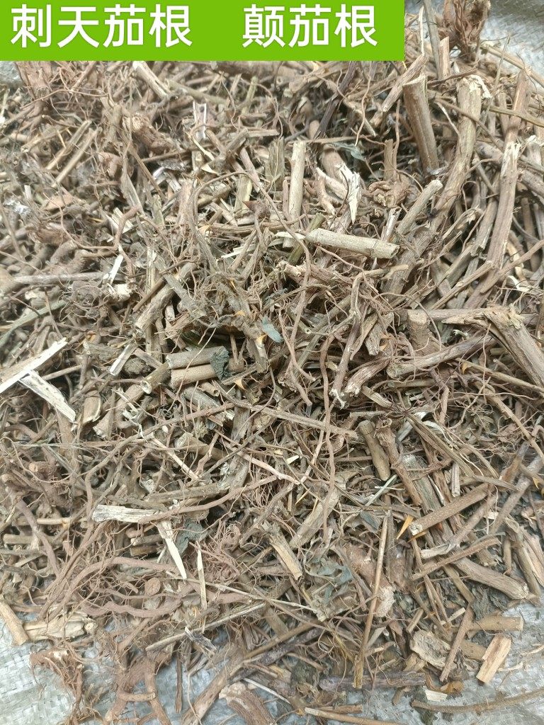 野生刺天茄苦天茄茎根黄果茄茎苦颠茄金纽扣两面针中药材刺天茄果