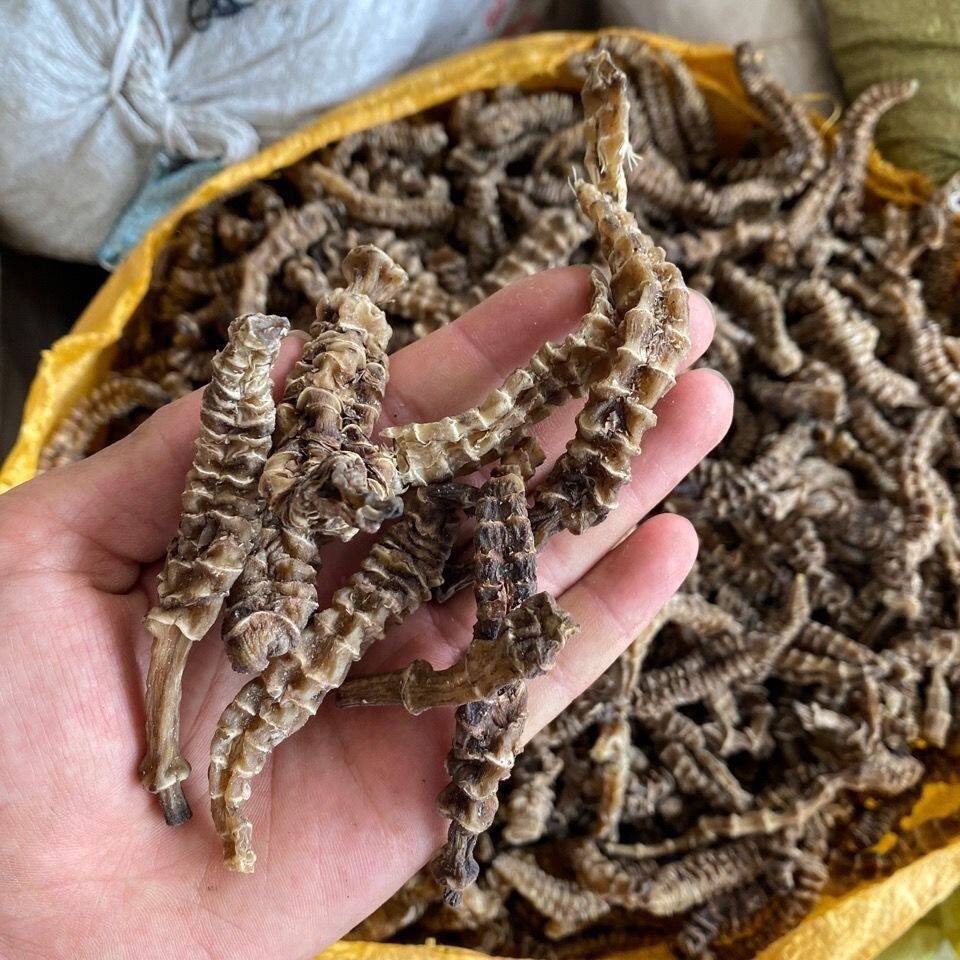 云南虫草参地参干中药材炖汤泡酒地蚕草石蚕地笋100-500克包邮