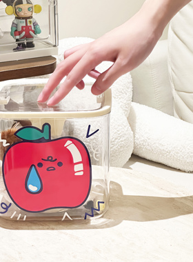 苹果日记可爱桌面车载垃圾桶收纳盒高颜值带盖按压式弹盖透明简约