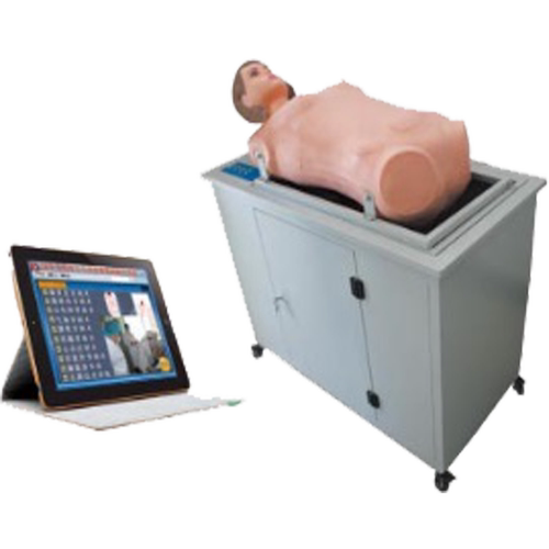 佳悦科教通穿刺模型CCX107