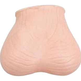 睾丸检查模型佳悦科教通L59