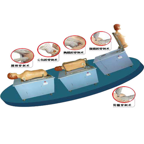 佳悦科教通穿刺叩诊模型