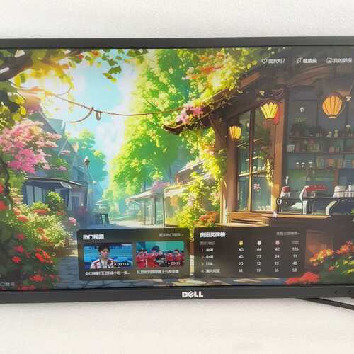 议价-Dell/戴尔 P2417H 24寸IPS可维修