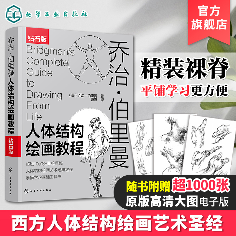 钻石版 乔治伯里曼人体结构绘画教程人物速写入门基础绘画临摹书籍 人体结构速写素描绘画艺术教学  素描学习基础美术艺术手绘教材