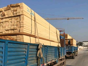 北京新旧建筑方木模板竹胶板租赁出售回收二手建筑木方模板竹胶板