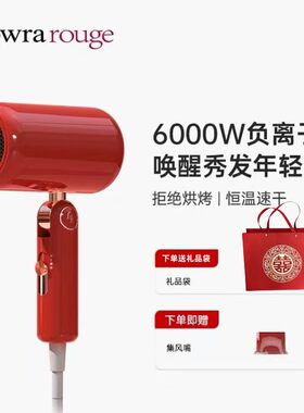 罗拉吹风机结婚礼物伴手礼家用
