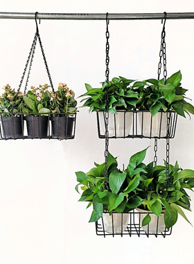 长方形花架铁艺吊篮阳台悬挂架绿萝花盆多肉盆栽铁挂篮靠墙置物架
