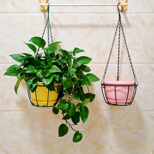 简约铁艺阳台花篮悬挂架吊篮绿萝吊盆吊兰垂吊花架多肉花盆挂篮