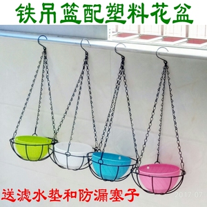 悬挂铁艺吊篮配塑料花盆吊盆挂链多肉植物花盆彩色吊盆绿萝吊兰盆