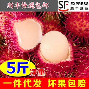 顺丰现发海南红毛丹净5斤整箱现摘新鲜水果毛荔枝孕妇当季甜包邮