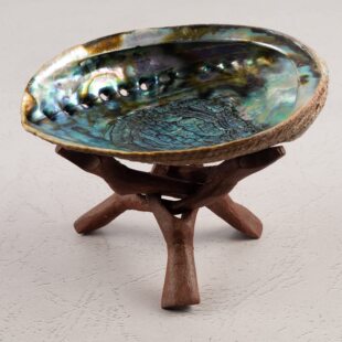 新西兰支架鲍鱼壳贝壳秘澳洲器具容器器具支架圣木白鼠尾天然烧盘