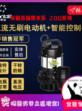 【奥冠迪】飞克泵业ZDQ智能永磁直流24V/48V/60V/72V电瓶潜水电泵