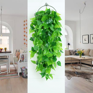 仿真绿萝壁挂绿植吊兰阳台客厅墙壁假花装 饰吊篮藤条塑料绿叶藤蔓