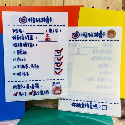 [香港海洋公园代购]快劳夹懒猪领养卡 胶文档夹 Handmadeship