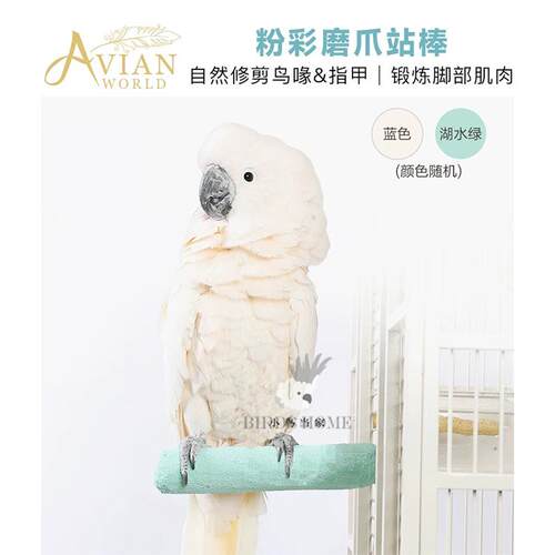 粉彩树脂磨爪站棒安全不伤脚