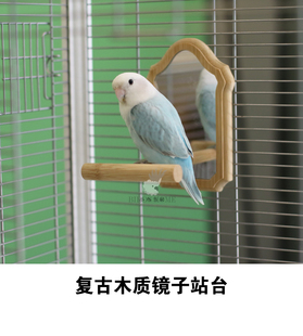 复古木质边框鹦鹉镜子站台站架站棒 鸟笼装饰玩具虎皮牡丹玄凤