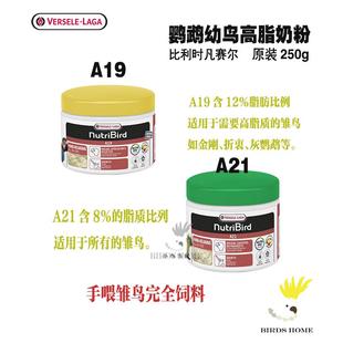 凡赛尔鹦鹉幼鸟雏鸟奶粉 鸟食饲料 A21.A19鹦鹉BB奶粉