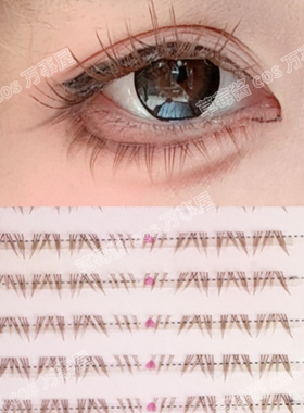 棕色北极星下睫毛假睫毛胶水款大容量自然浓密卷翘分段式单簇F06