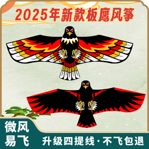2025年新款板鹰卡通老鹰风筝微风易飞成人大型高档手持风筝线轮