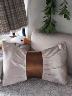 S1精品长方形抱枕套客厅沙发寝室床头飘窗居家护腰枕38*58不含芯