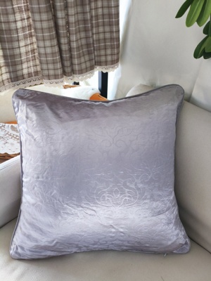 3客厅沙发飘窗居家厚实抱枕护腰枕套靠垫48*48高端家具（不含心）