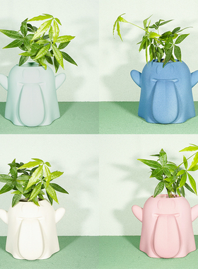 GRAF原创品牌BooGhost可爱鬼2.0莫兰迪植物陶瓷透气盆栽种植花盆