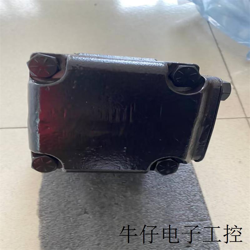 德国派克叶片泵T6CM B25 1R02 C1