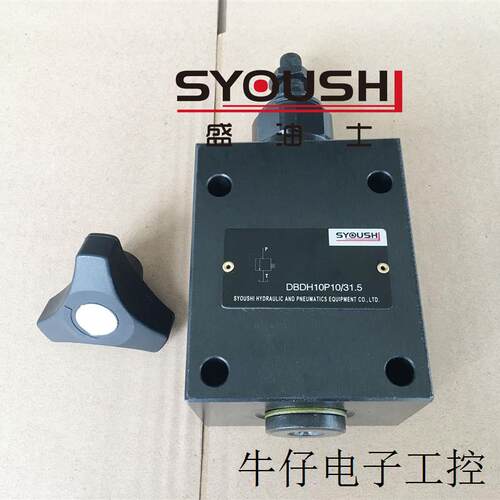 直动式溢流阀DBDH10P10B/315 DBDH10P10B/100 DBDH10P10/31现货