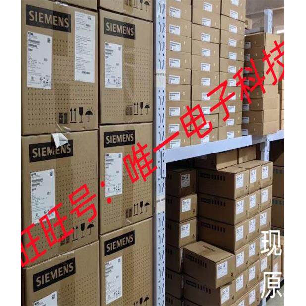 皮带秤给煤机SY3011称重显示控制器Y3011E SY3011TTL SY3011D议价