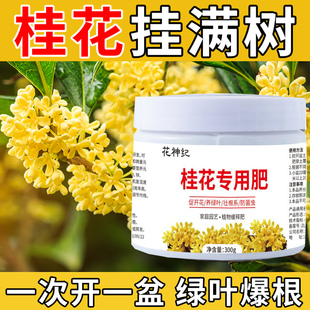 桂花树专用肥料通用型有机肥氮磷钾复合肥养花促开花改善黄叶颗粒