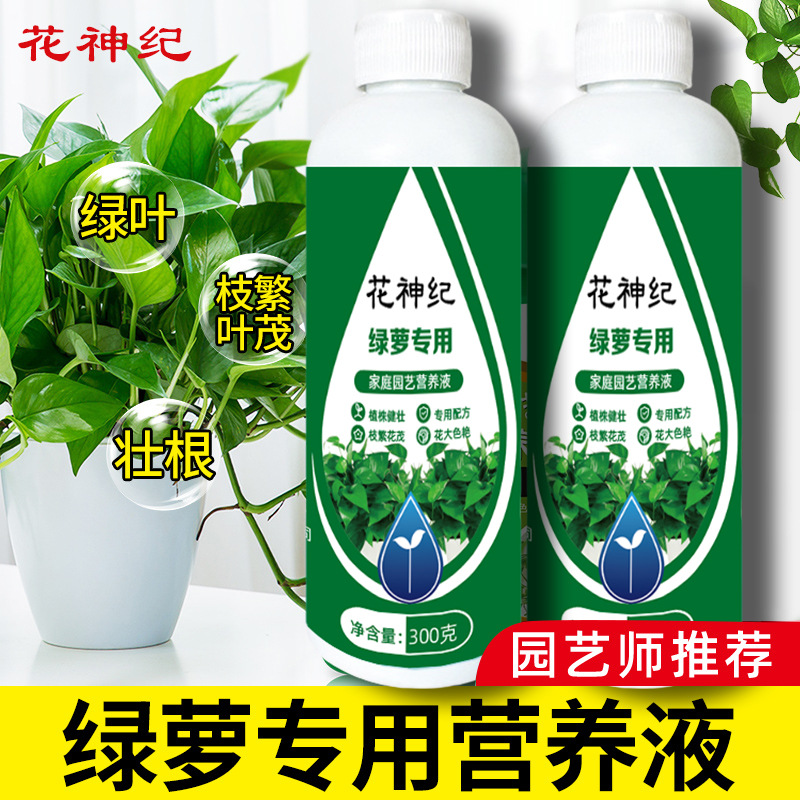 绿萝专用营养液促生长绿叶