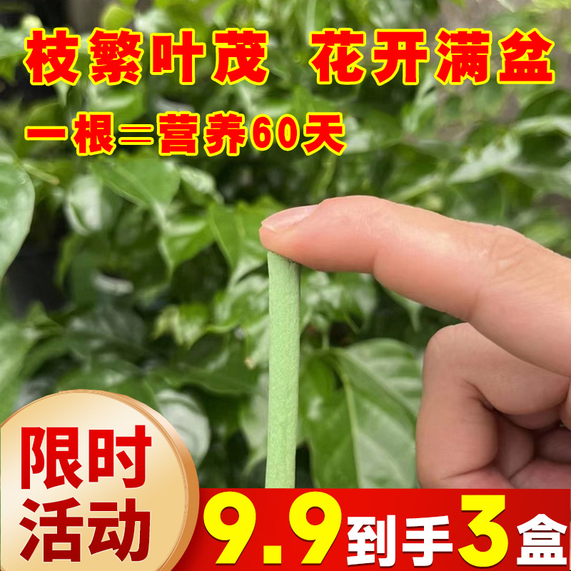 植物营养棒缓释肥料盆栽绿植通用型家用花卉促开花绿叶长效营养片 鲜花速递/花卉仿真/绿植园艺 家庭园艺肥料 原图主图