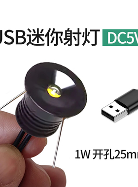 【USB款开孔25mm】5V低压迷你小射灯2.5cm机箱led充电式1W嵌入式