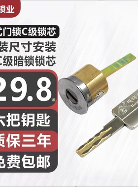 铜芯老式防盗门暗锁叶片