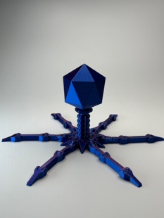 打印噬菌体T4模型可活动老师创意礼物趣味益智微生物病毒小实验