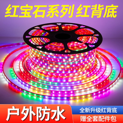 户外防水彩色霓虹中国龙灯带