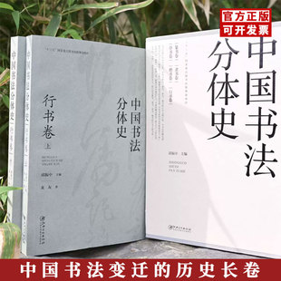 中国书法分体史 行书上下卷 行书书法源流变迁历史书法理论书体史教程教材 邱振中主编 龙友著江西美术出版社