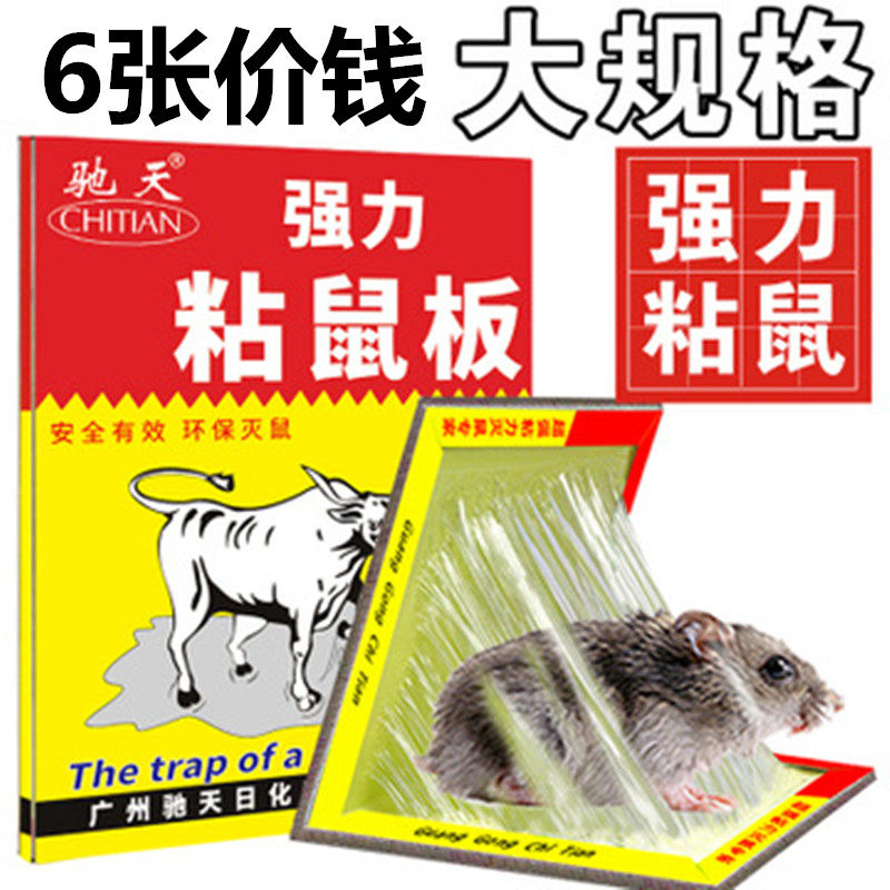 쥐를 잡기 위한 초강력 접착 마우스 보드와 쥐를 쫓아내기 위한 가정용 쥐덫용 스틱 클립 쥐를 잡기 위한 구제 도구 및 접착제 도구