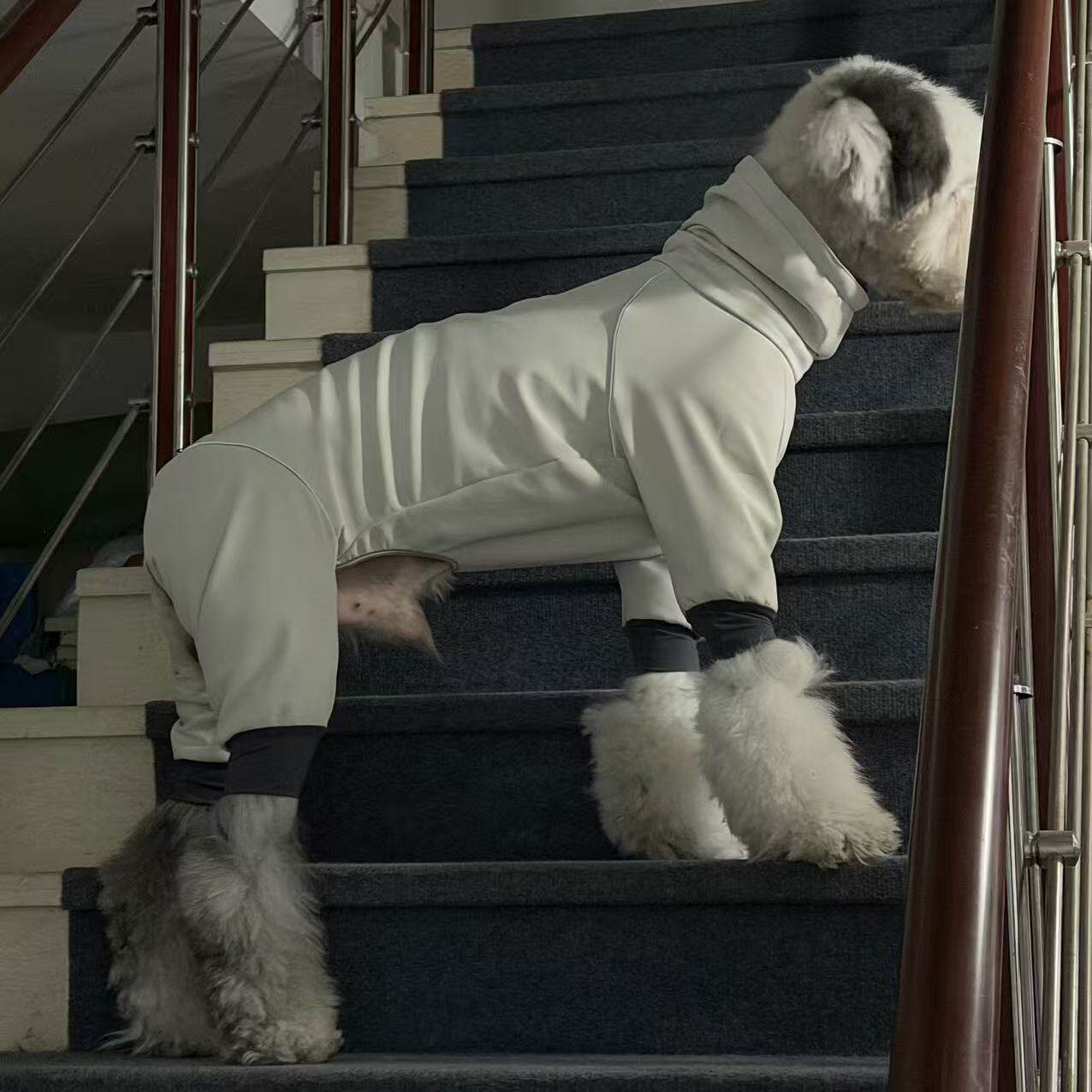 HippyPuppy滑雪服三合一防水防风防尘户外四脚衣冲锋衣滑雪宠物